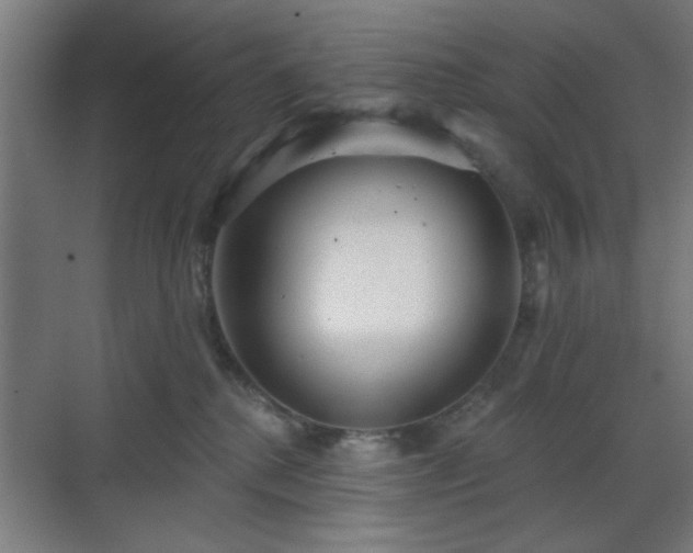 X0000070860280200606191324