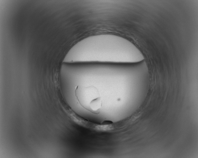 X0000070860281200606191324