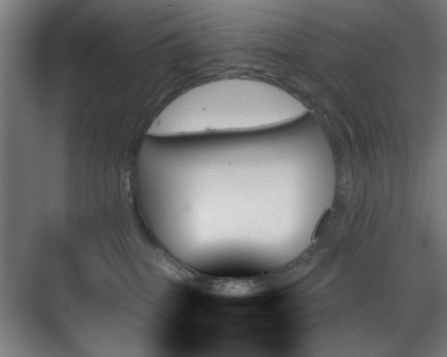 X0000070860282200606191324