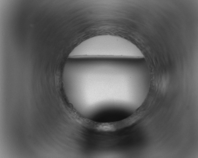 X0000070860283200606191324