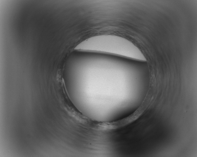 X0000070860284200606191324