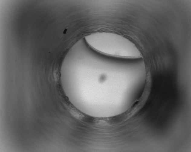 X0000070860285200606191324