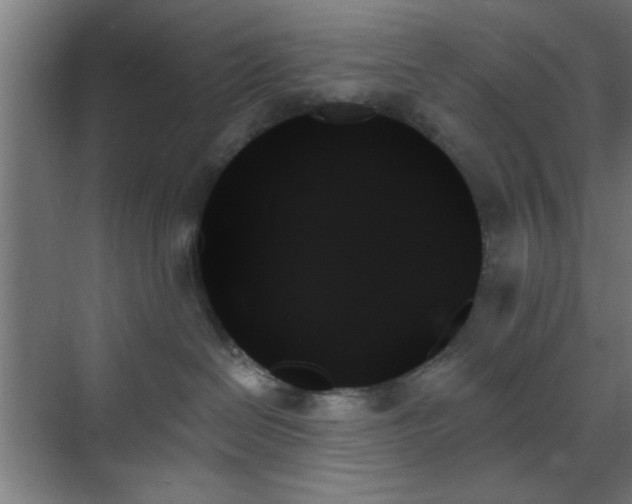 X0000070860286200606191324