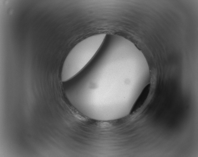 X0000070860287200606191324