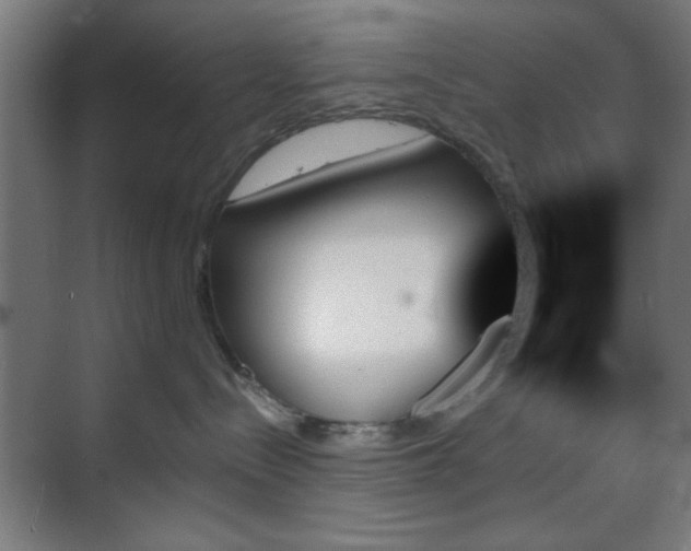 X0000070860288200606191324