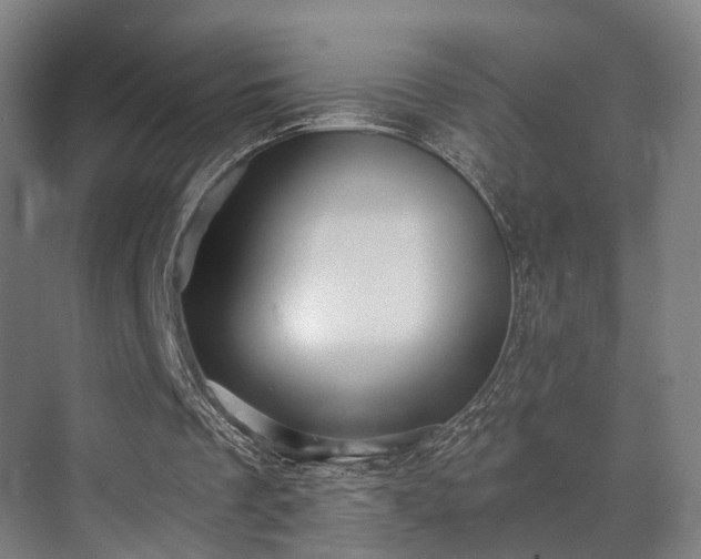 X0000070860289200606191324