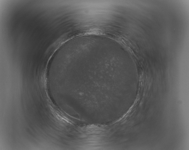 X0000070860290200606191324