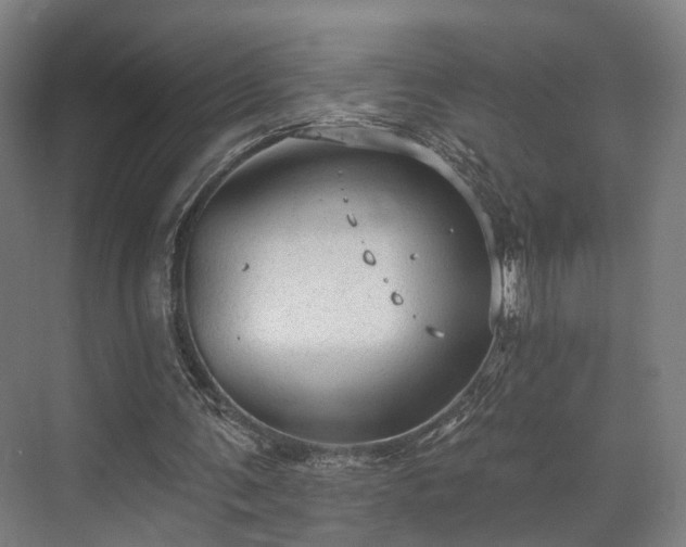 X0000070860291200606191323