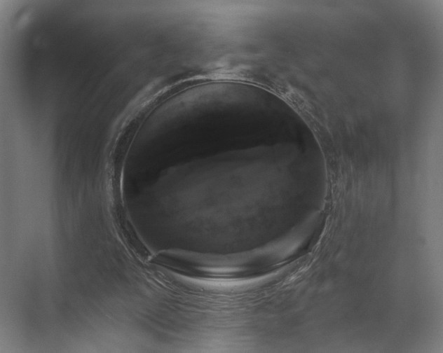 X0000070860295200606191323