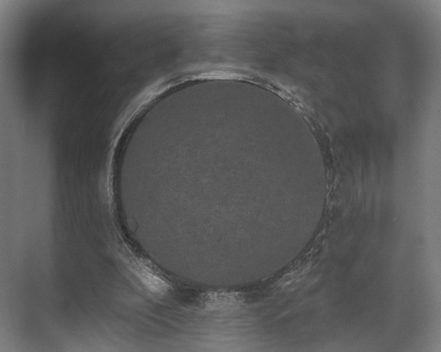 X0000070860296200606191323