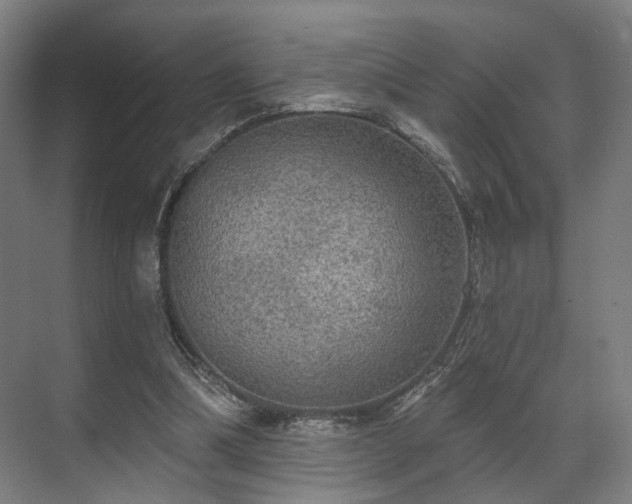 X0000070860298200606191323