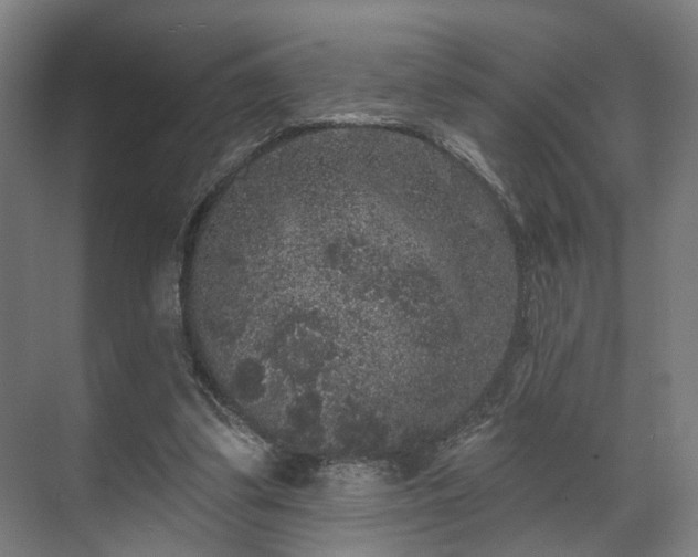 X0000070860299200606191323