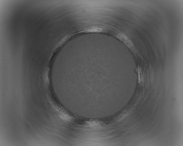 X0000070860300200606191323