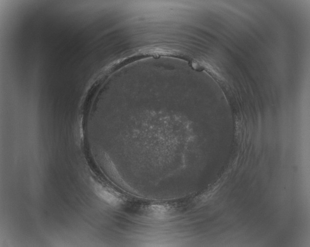 X0000070860302200606191323