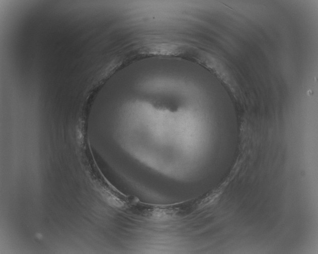 X0000070860305200606191323