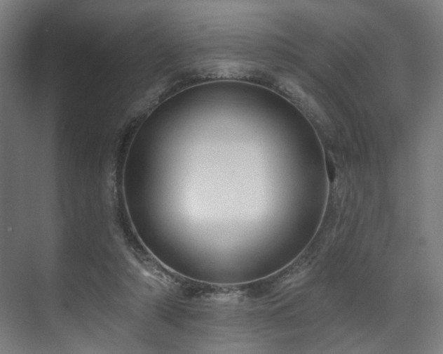 X0000070860306200606191323