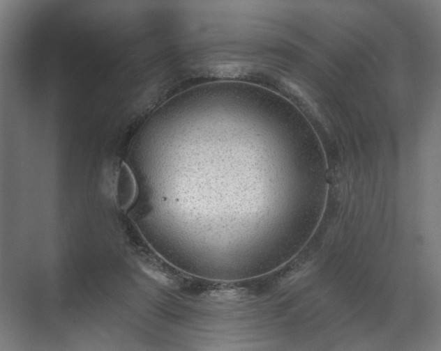 X0000070860307200606191323