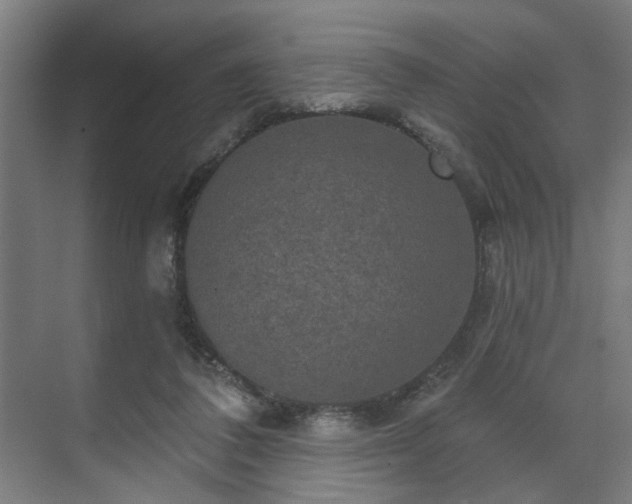 X0000070860308200606191323