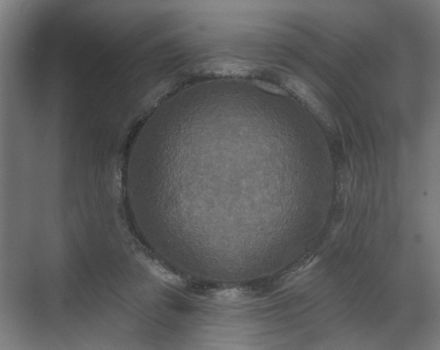 X0000070860309200606191323