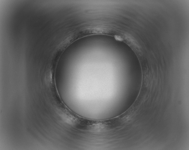 X0000070860310200606191323