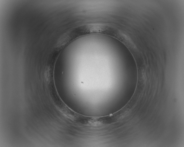 X0000070860311200606191323