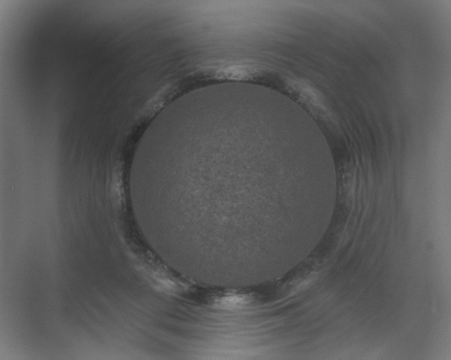 X0000070860312200606191323