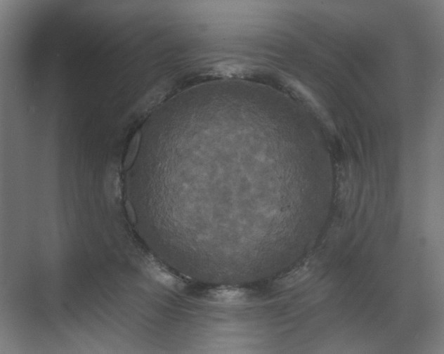 X0000070860313200606191323