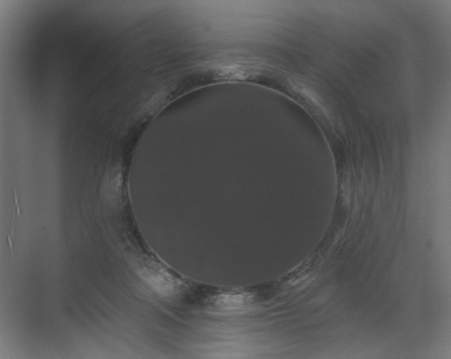 X0000070860314200606191323