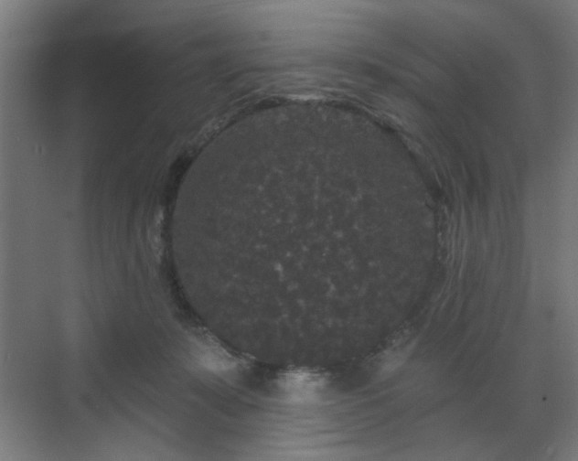 X0000070860319200606191323