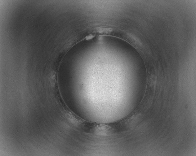 X0000070860321200606191323