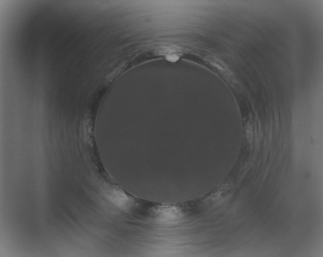 X0000070860322200606191323