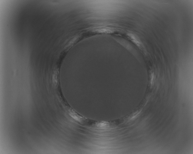 X0000070860325200606191323