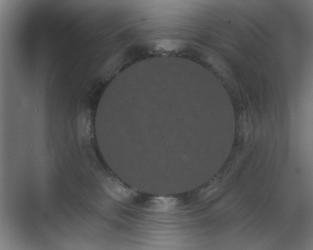 X0000070860328200606191323