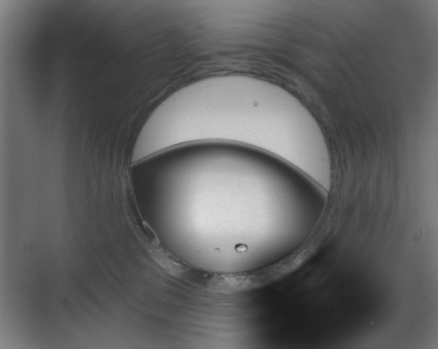 X0000070860329200606191323