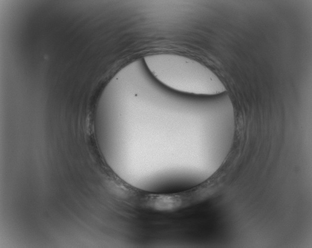 X0000070860330200606191323