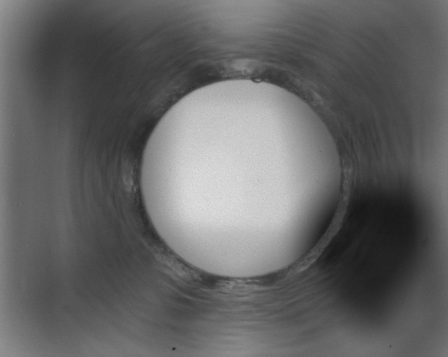 X0000070860331200606191323