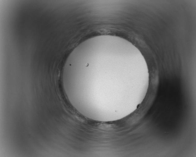 X0000070860332200606191323