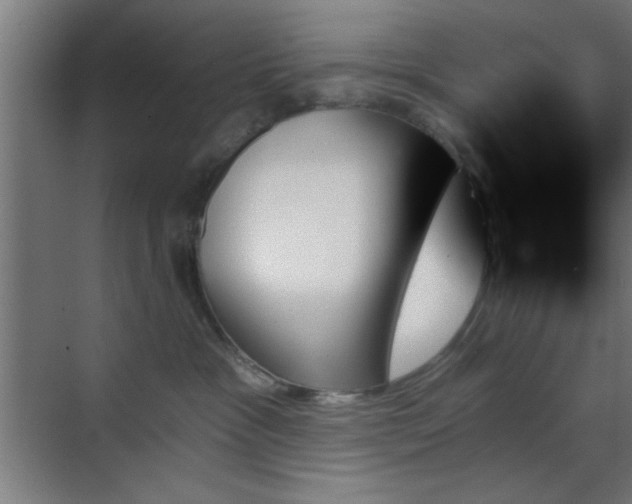 X0000070860333200606191323