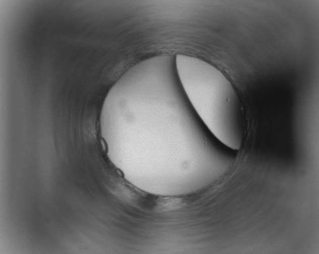 X0000070860334200606191323