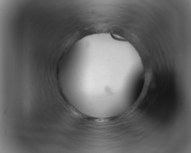 X0000070860335200606191323