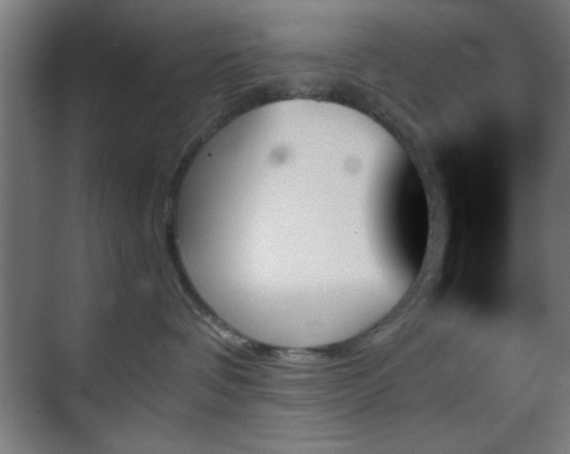 X0000070860336200606191323