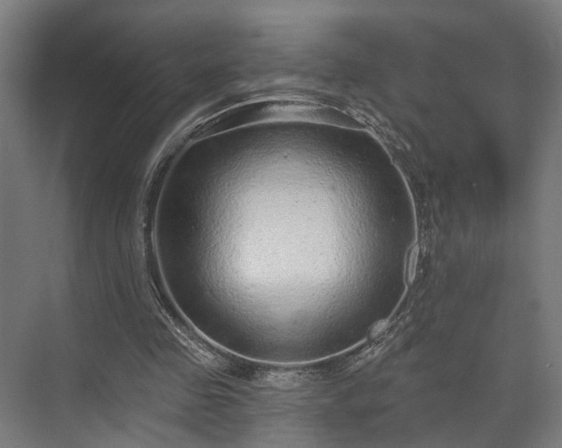 X0000070860341200606191322