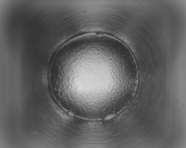 X0000070860345200606191322