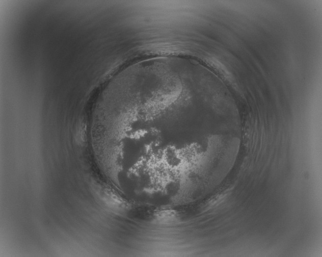 X0000070860355200606191322