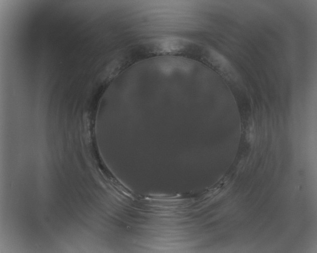 X0000070860366200606191322
