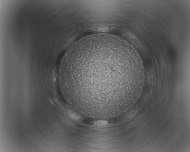 X0000070860374200606191323