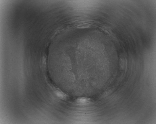 X0000070860375200606191323