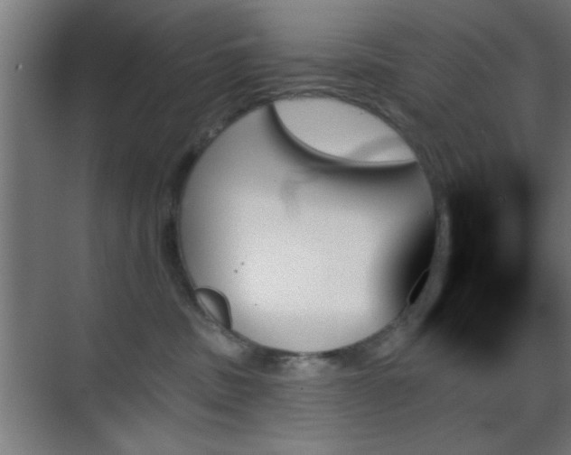 X0000070860379200606191323