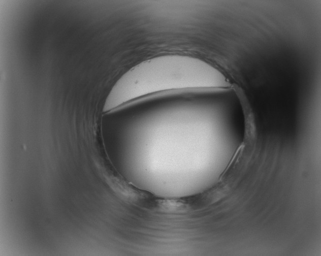 X0000070860380200606191323