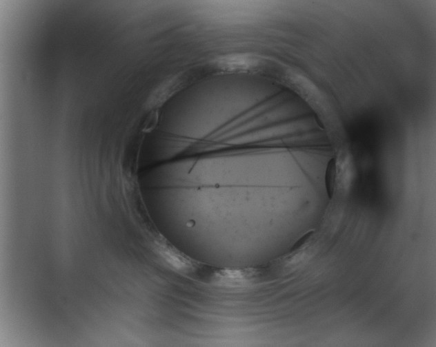 X0000070860381200606191323